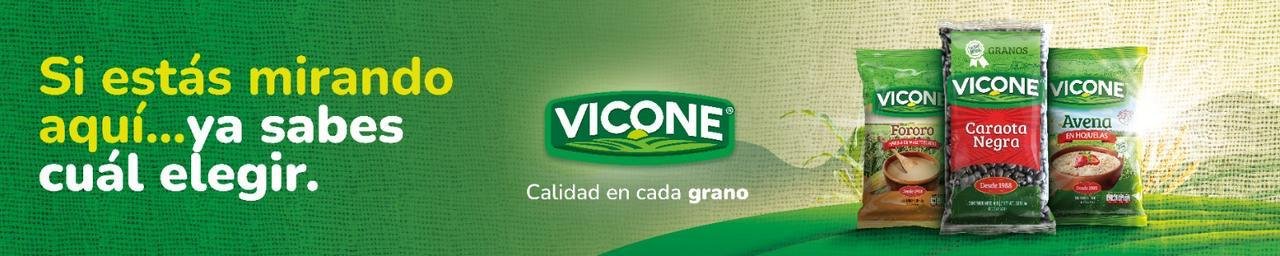 Despliegue visual del ecosistema de marca